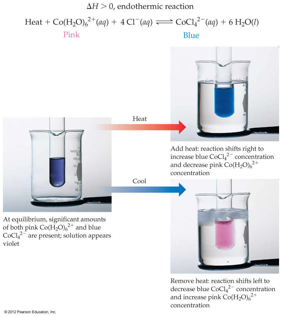 Heat Transfer and Equilibrium